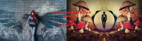 spice Балахна