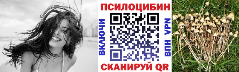 Псилоцибиновые грибы мицелий Реутов