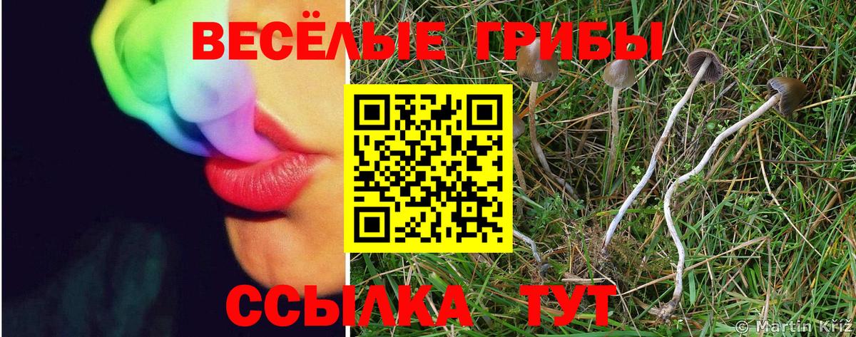 Псилоцибиновые грибы мицелий  Вход с VPN  Реутов  Псилоцибиновые грибы мицелий 